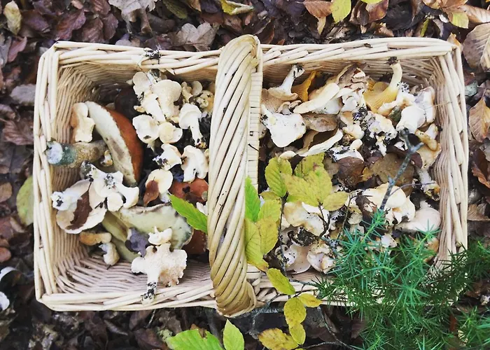 Hébergement de vacances Tanagra : Maison Avec Piscine Et Vue Exceptionnelle *