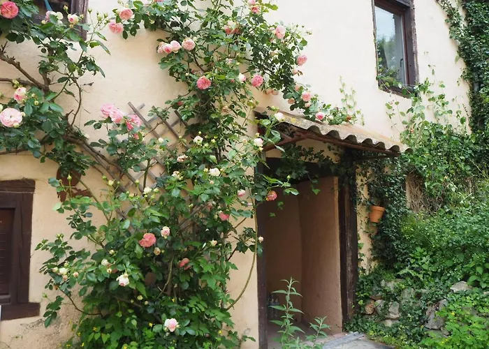 Tanagra : Maison Avec Piscine Et Vue Exceptionnelle * Roquefort-Les-Cascades