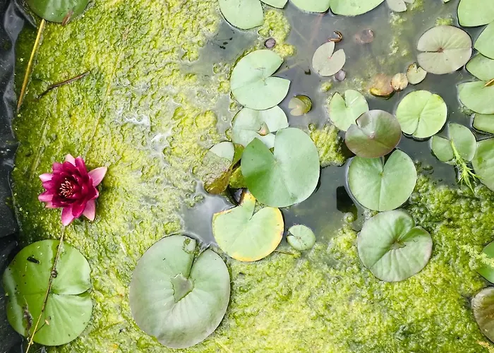 Tanagra : Maison Avec Piscine Et Vue Exceptionnelle Hébergement de vacances