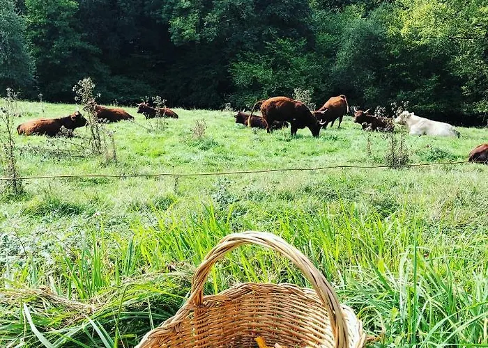 Hébergement de vacances Tanagra : Maison Avec Piscine Et Vue Exceptionnelle *