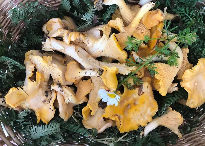 Tanagra : Maison Avec Piscine Et Vue Exceptionnelle Hébergement de vacances