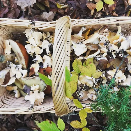 Prázdninový dům Tanagra : Maison Avec Piscine Et Vue Exceptionnelle *