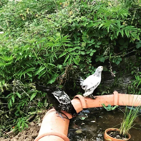 Tanagra : Maison Avec Piscine Et Vue Exceptionnelle * Roquefort-Les-Cascades