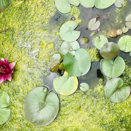 Tanagra : Maison Avec Piscine Et Vue Exceptionnelle Prázdninový dům