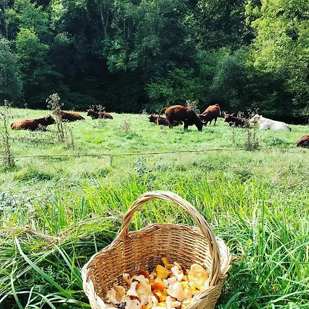 Prázdninový dům Tanagra : Maison Avec Piscine Et Vue Exceptionnelle *