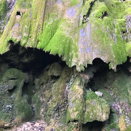 Tanagra : Maison Avec Piscine Et Vue Exceptionnelle