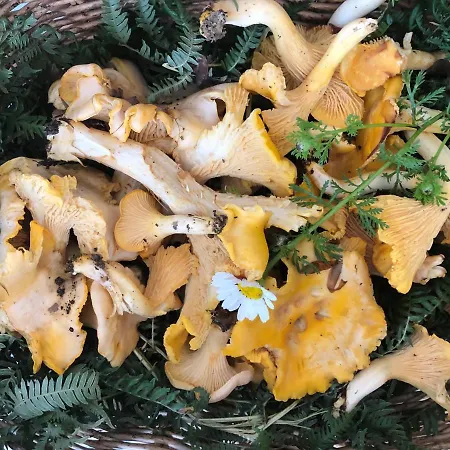 Tanagra : Maison Avec Piscine Et Vue Exceptionnelle Dom wakacyjny