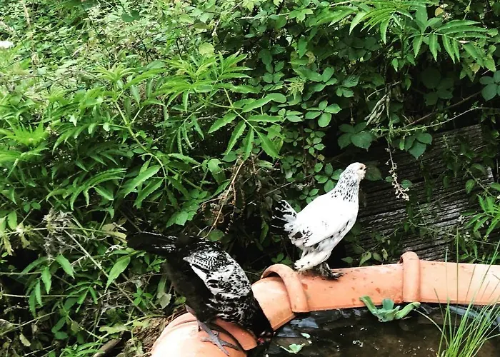 Tanagra : Maison Avec Piscine Et Vue Exceptionnelle * Roquefort-Les-Cascades