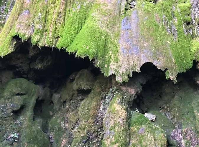 Tanagra : Maison Avec Piscine Et Vue Exceptionnelle